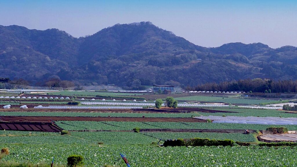 三浦富士