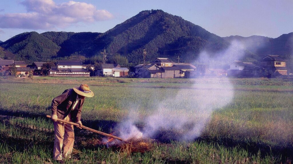 丹波富士（高城山）