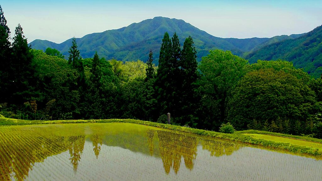 伊那富士